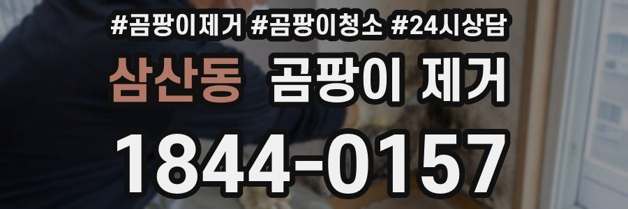 삼산동 곰팡이 제거