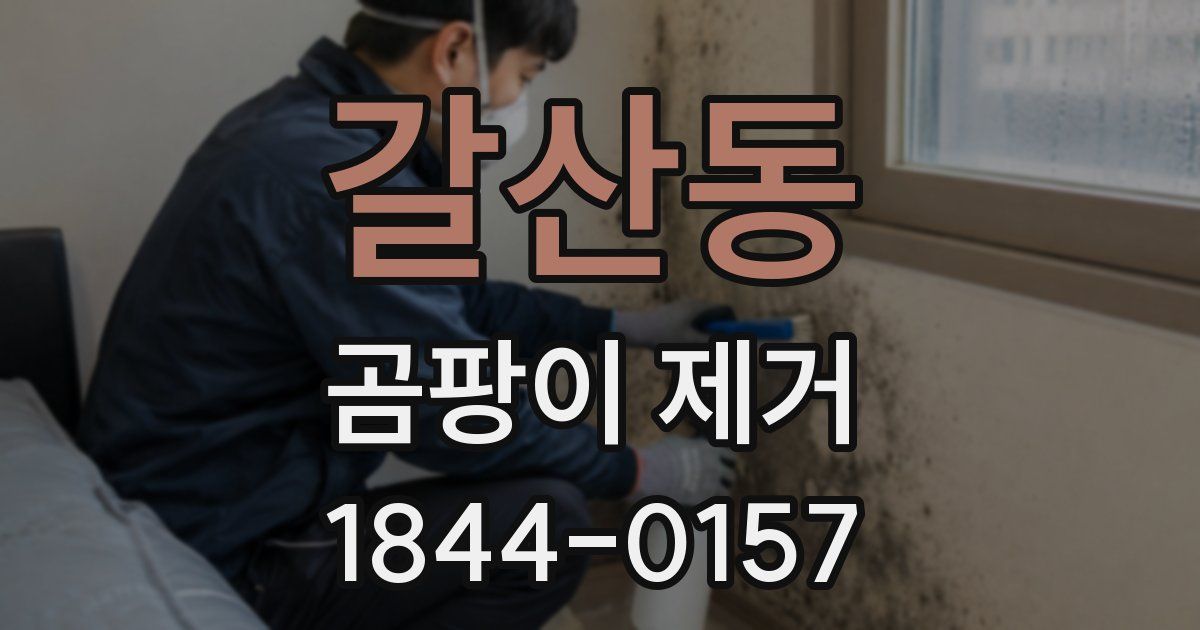 갈산동 곰팡이 제거