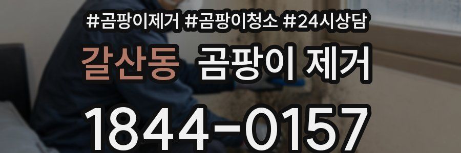 갈산동 곰팡이 제거