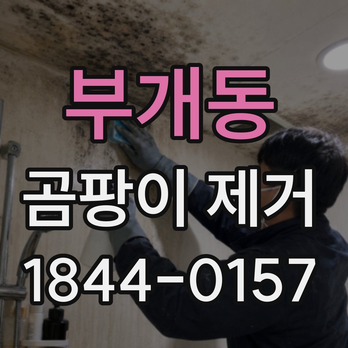 부개동 곰팡이 제거 결로·습기 많은 집에서 먼저 볼 것