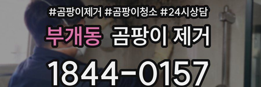 부개동 곰팡이 제거