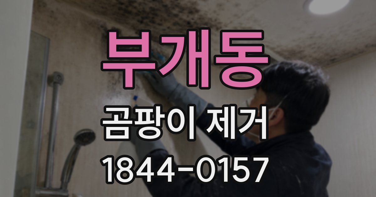 부개동 곰팡이 제거