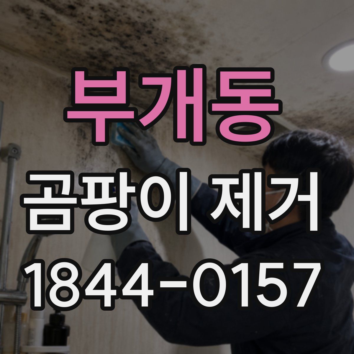 부개동 곰팡이 제거