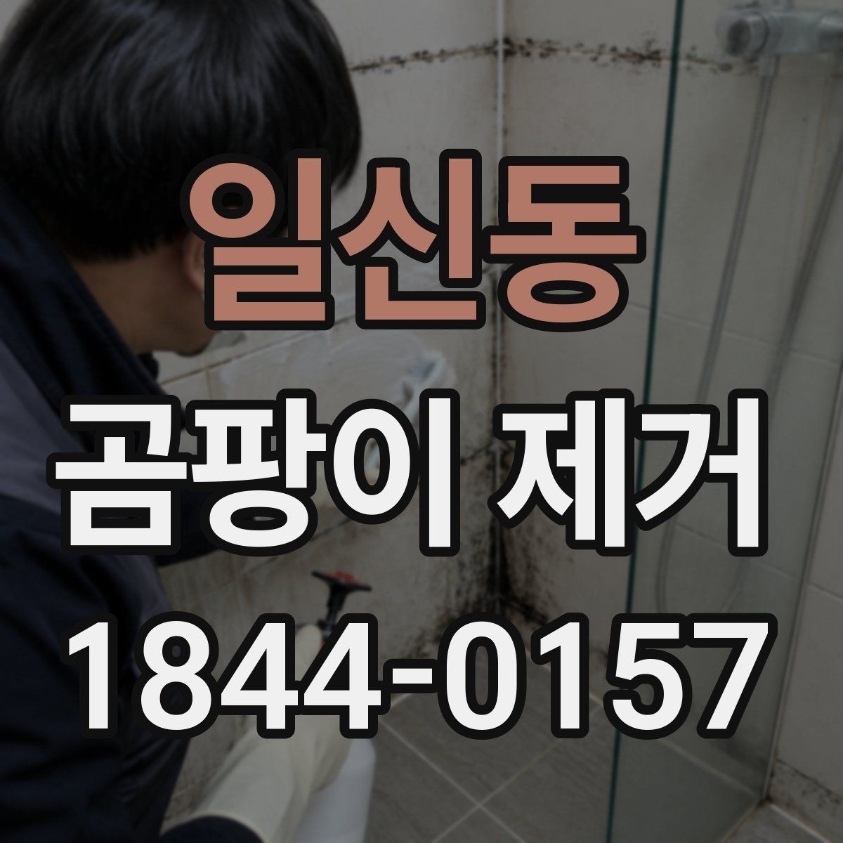 일신동 곰팡이 제거
