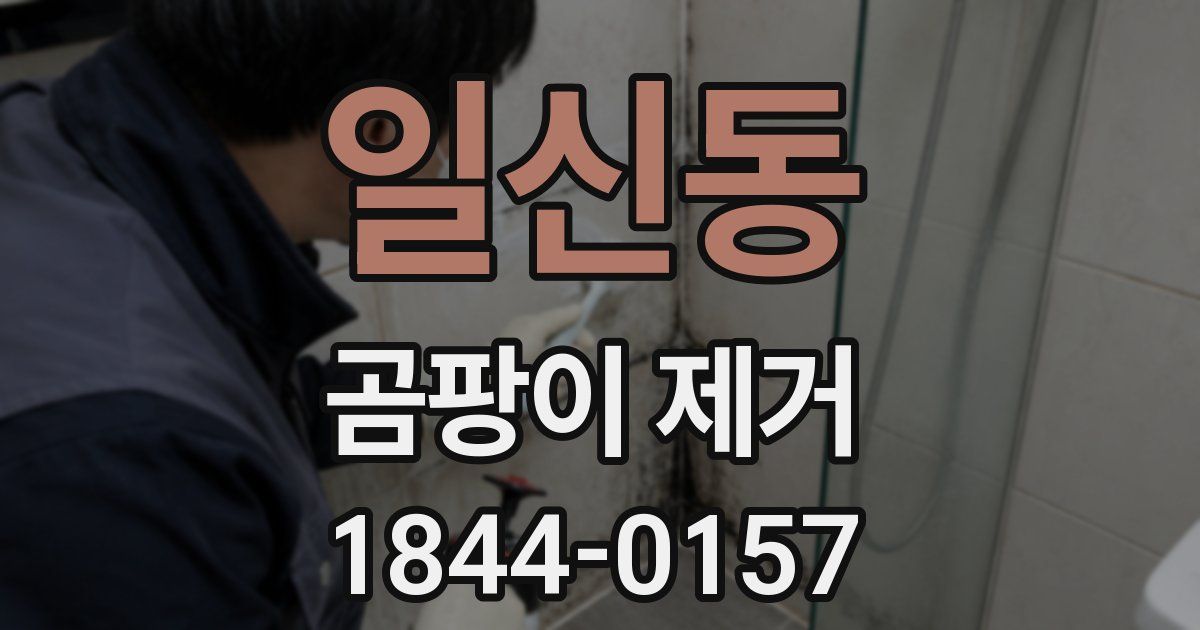 일신동 곰팡이 제거