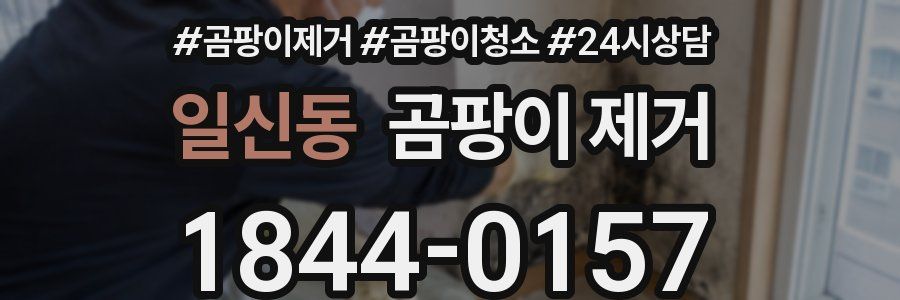 일신동 곰팡이 제거