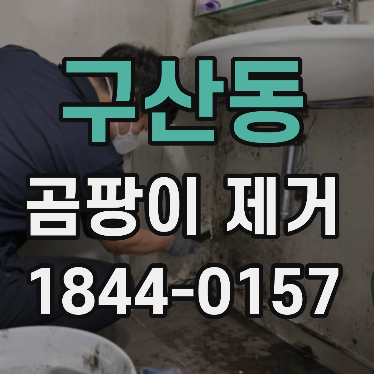 구산동 곰팡이 제거
