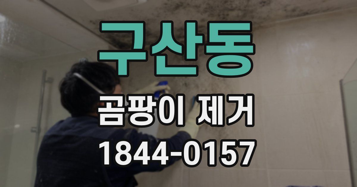 구산동 곰팡이 제거