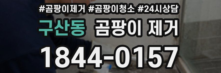 구산동 곰팡이 제거