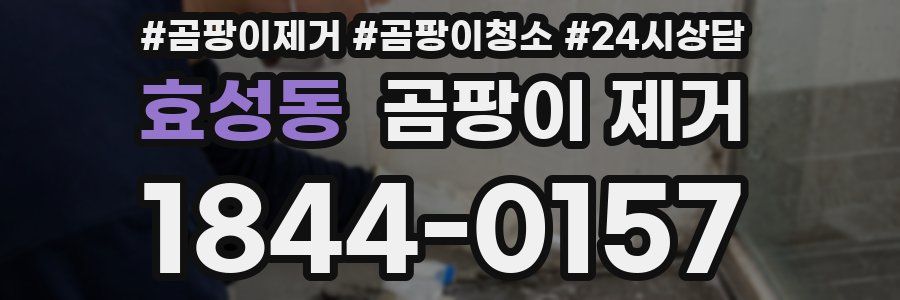 효성동 곰팡이 제거