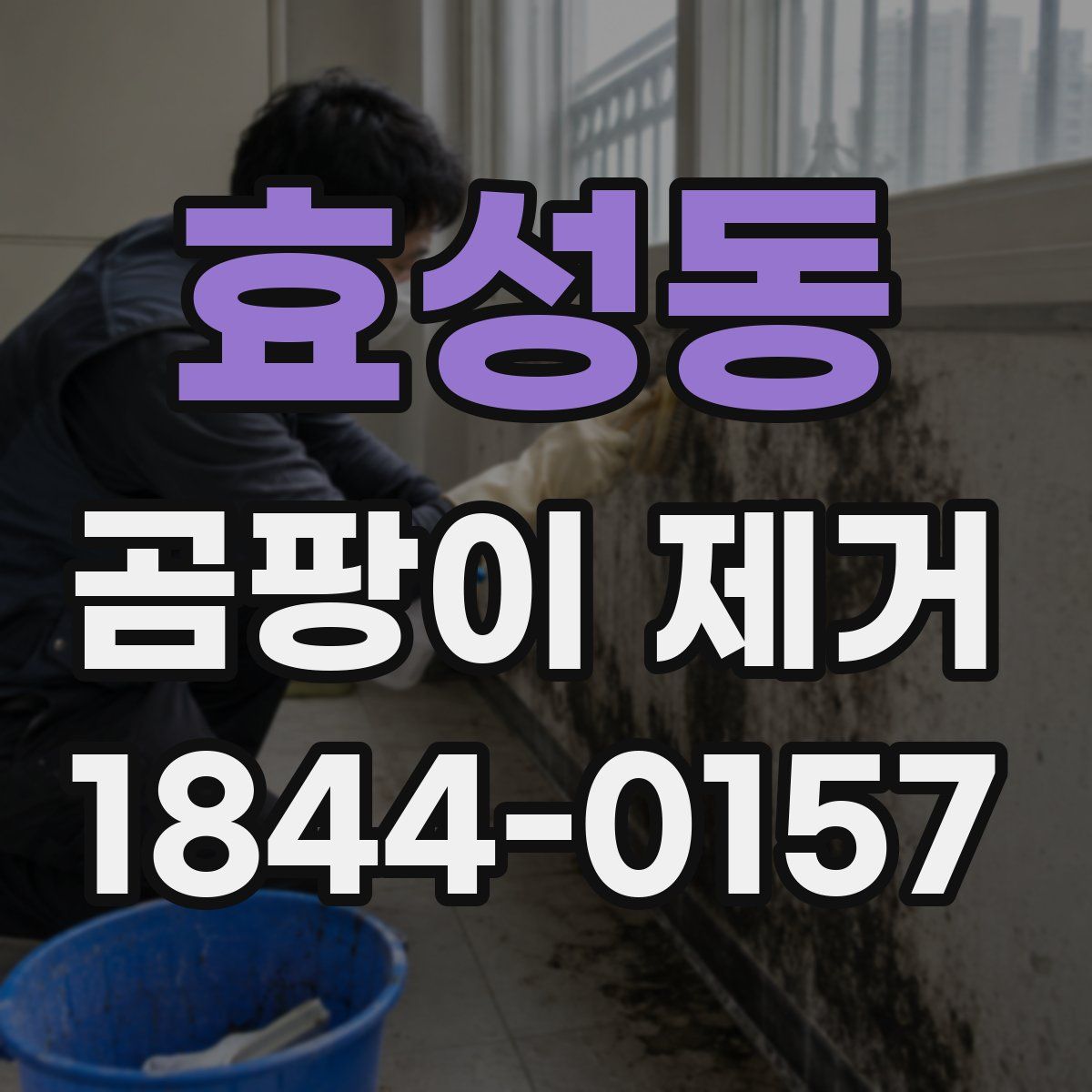 효성동 곰팡이 제거