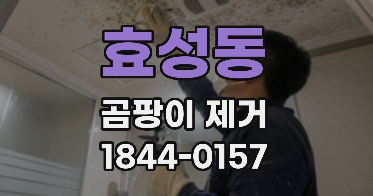 효성동 곰팡이 제거