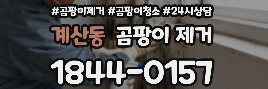 계산동 곰팡이 제거
