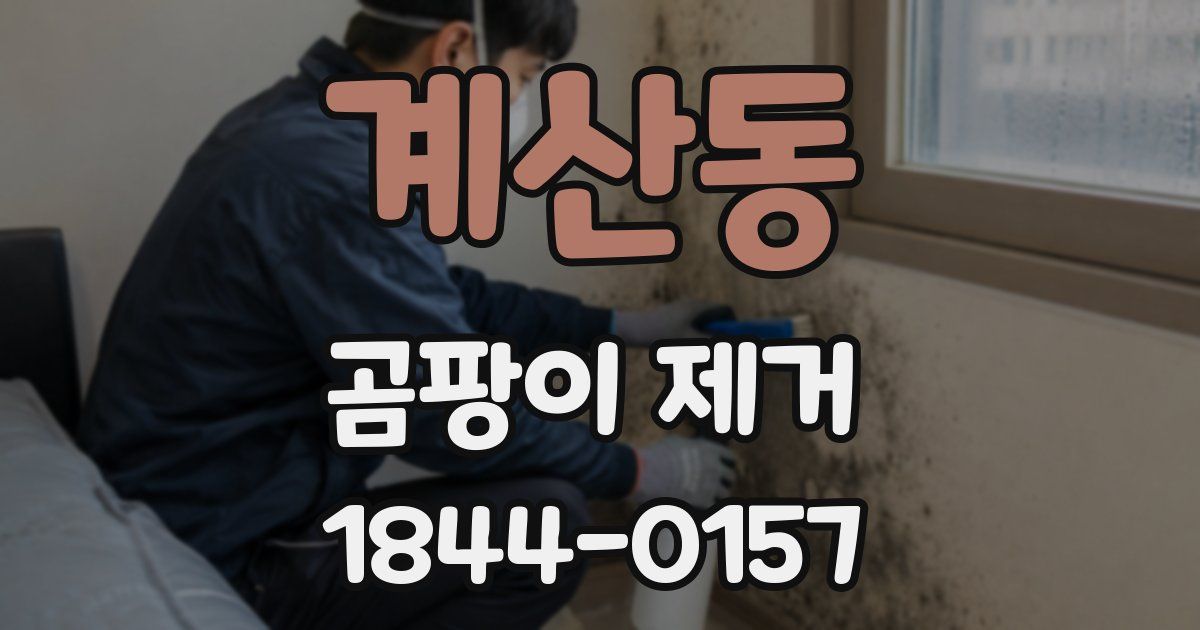 계산동 곰팡이 제거