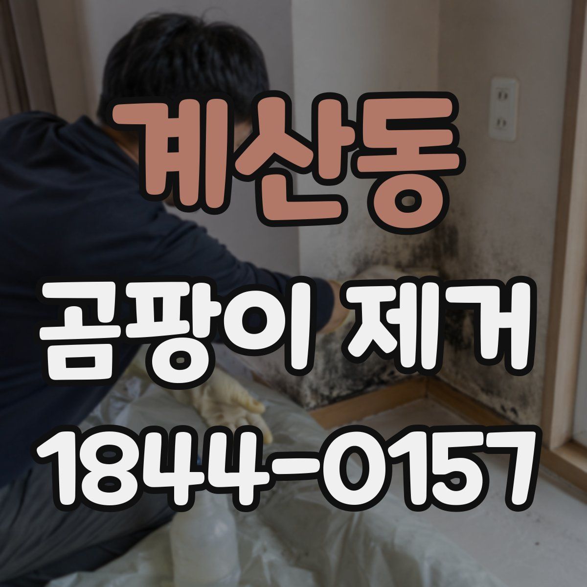 계산동 곰팡이 제거