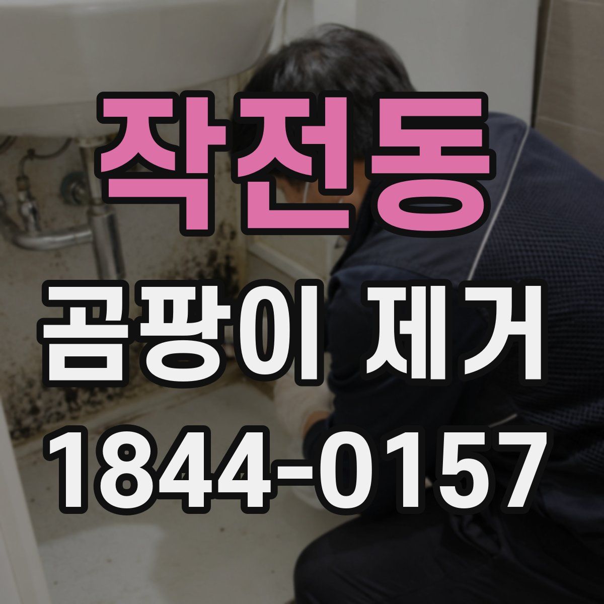 작전동 곰팡이 제거