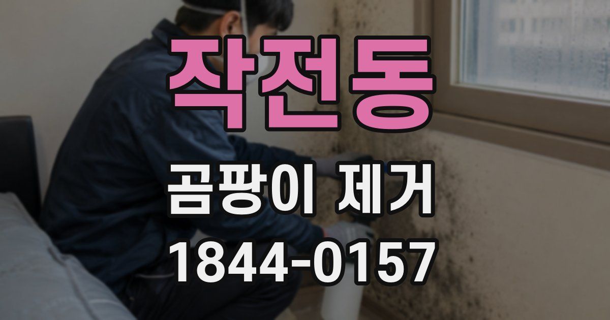 작전동 곰팡이 제거