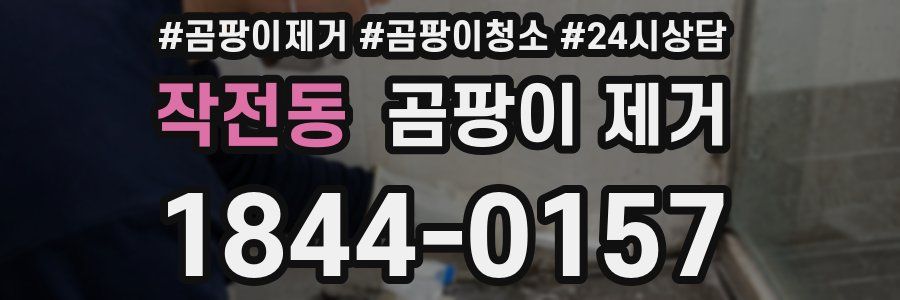 작전동 곰팡이 제거
