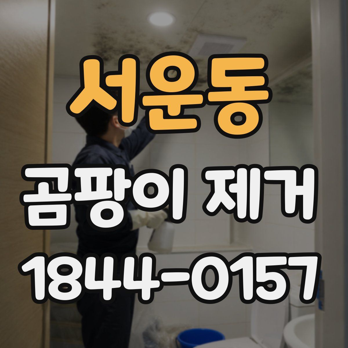 서운동 곰팡이 제거