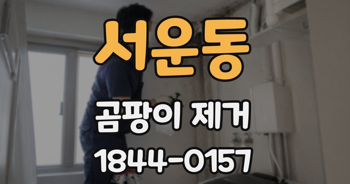 서운동 곰팡이 제거