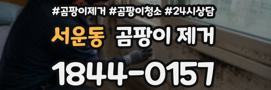 서운동 곰팡이 제거