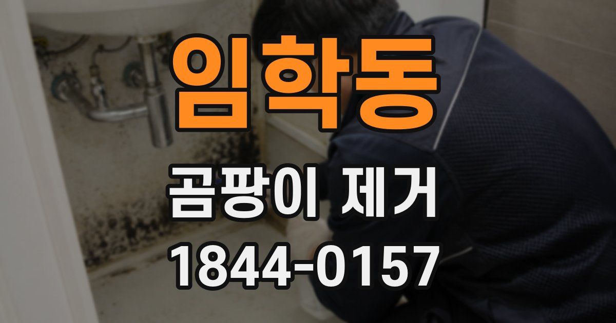임학동 곰팡이 제거