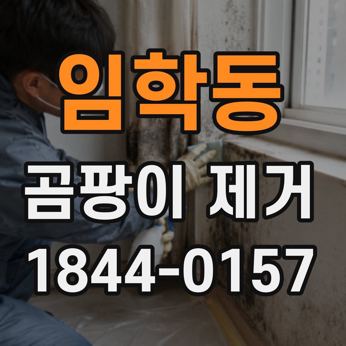 임학동 곰팡이 제거