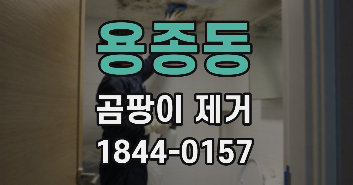 용종동 곰팡이 제거