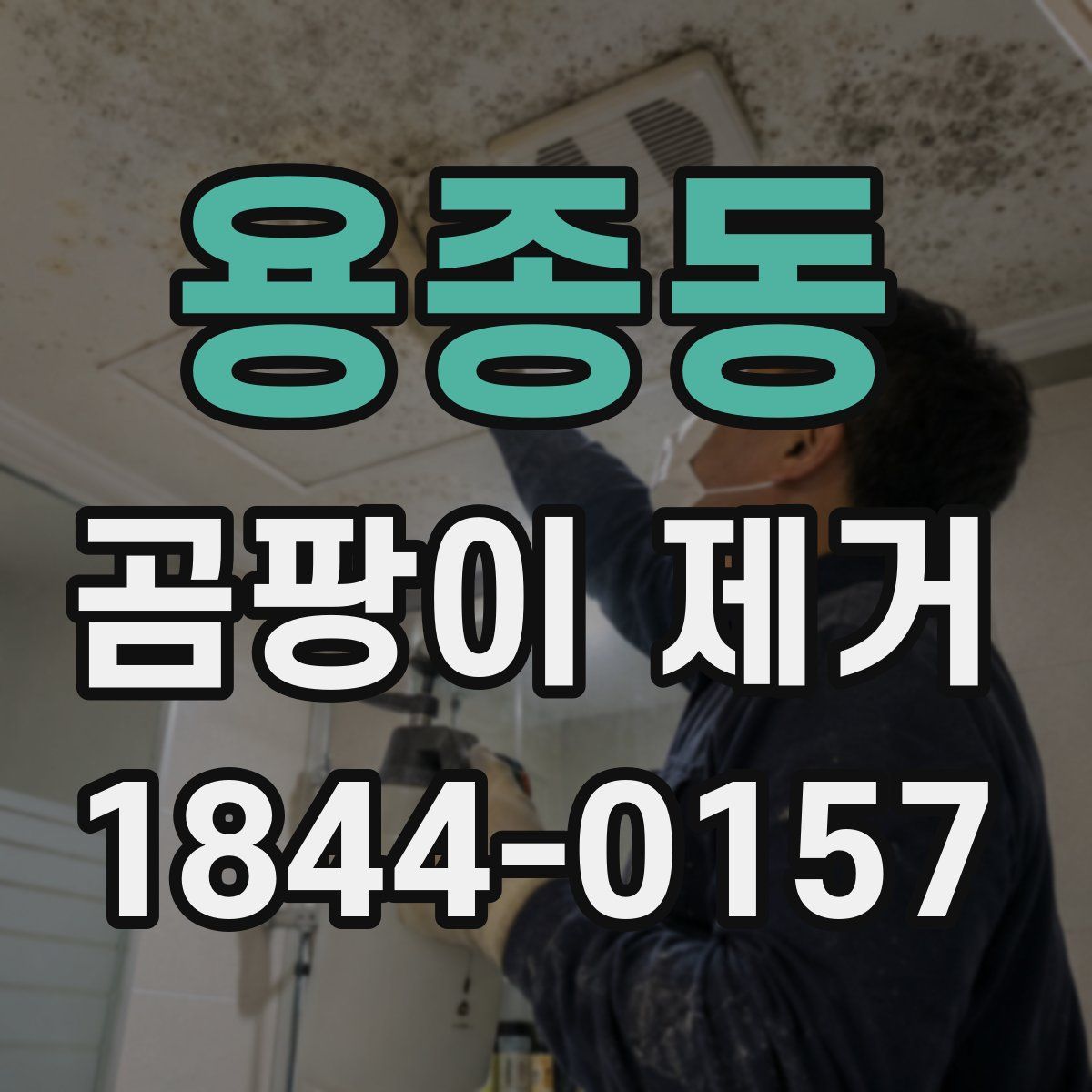 용종동 곰팡이 제거