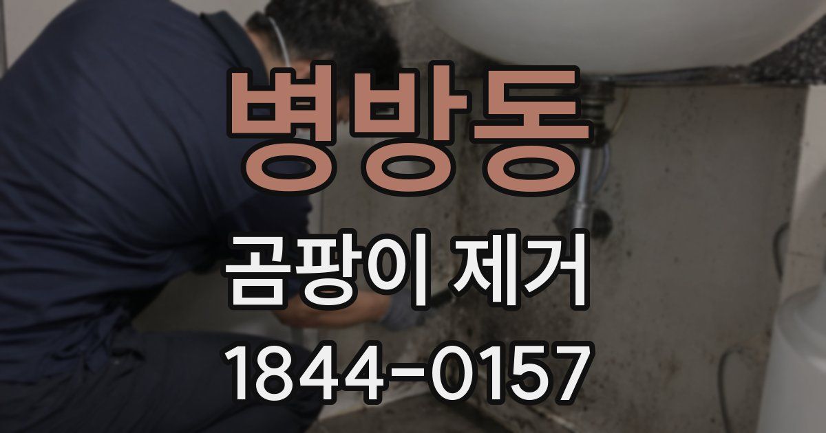 병방동 곰팡이 제거