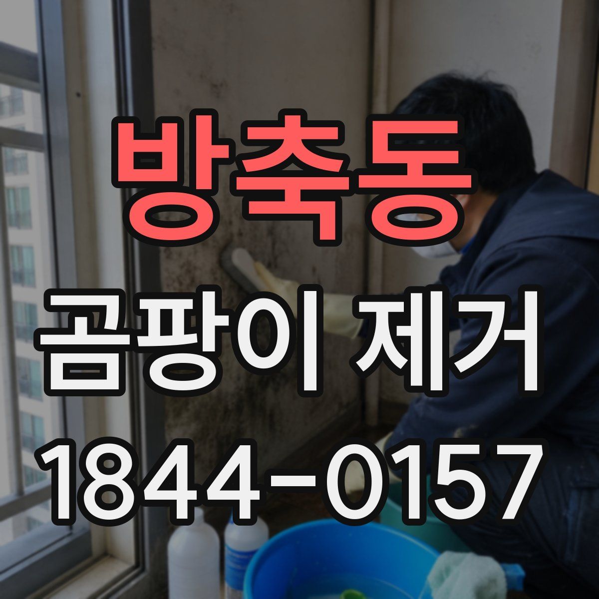 방축동 곰팡이 제거