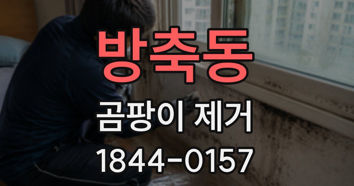방축동 곰팡이 제거