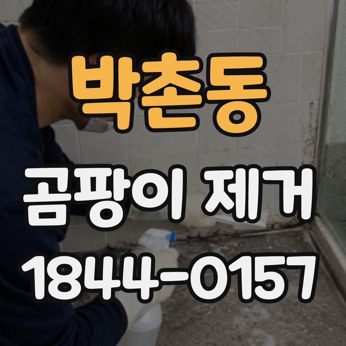 박촌동 곰팡이 제거