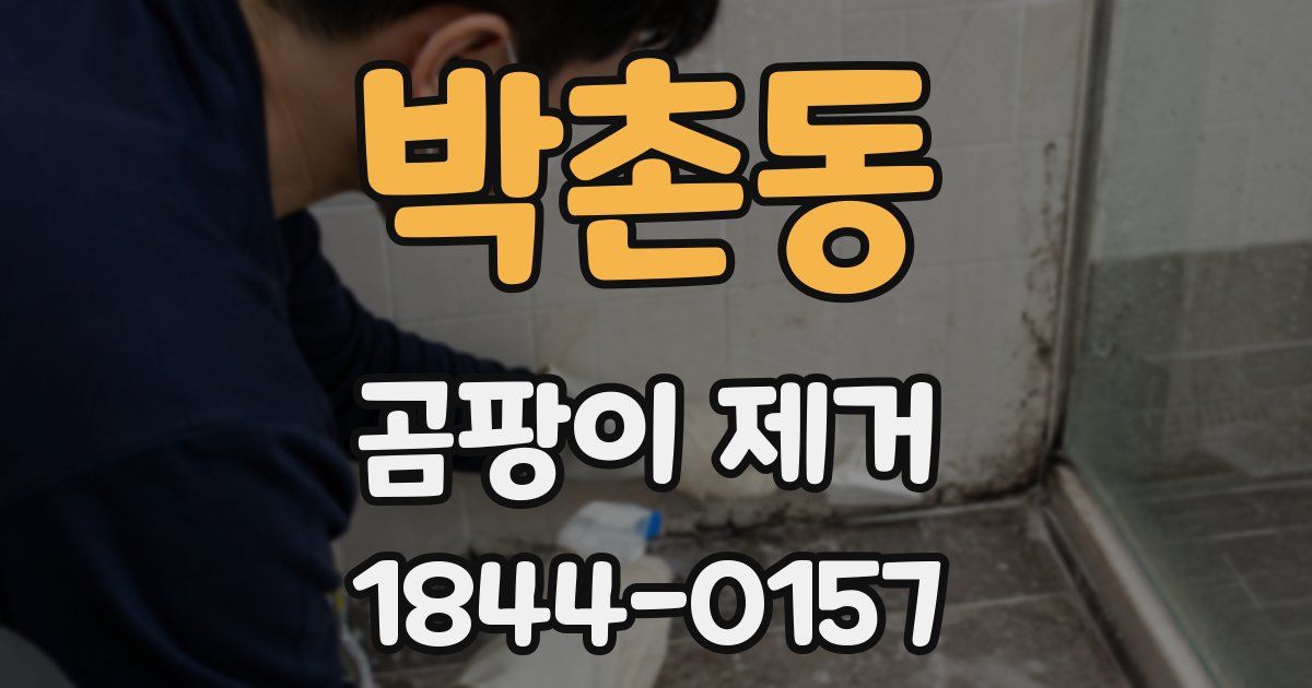 박촌동 곰팡이 제거