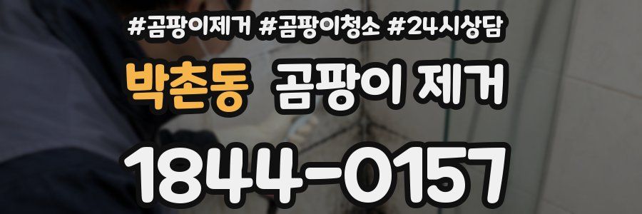 박촌동 곰팡이 제거