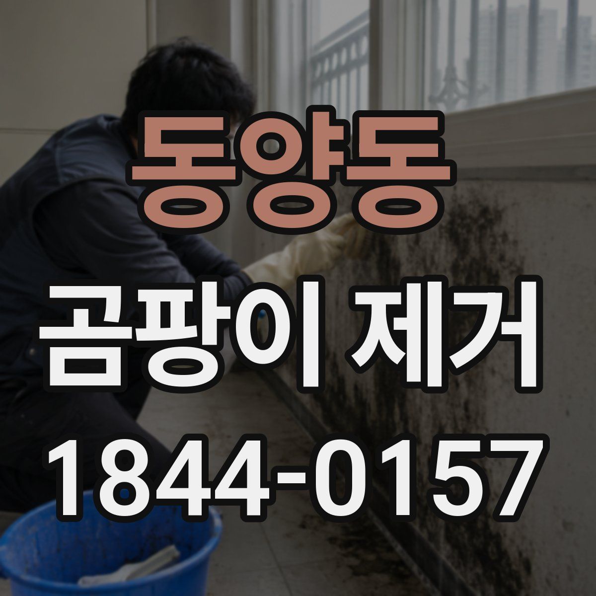 동양동 곰팡이 제거