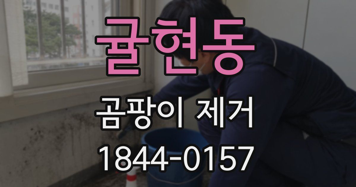 귤현동 곰팡이 제거