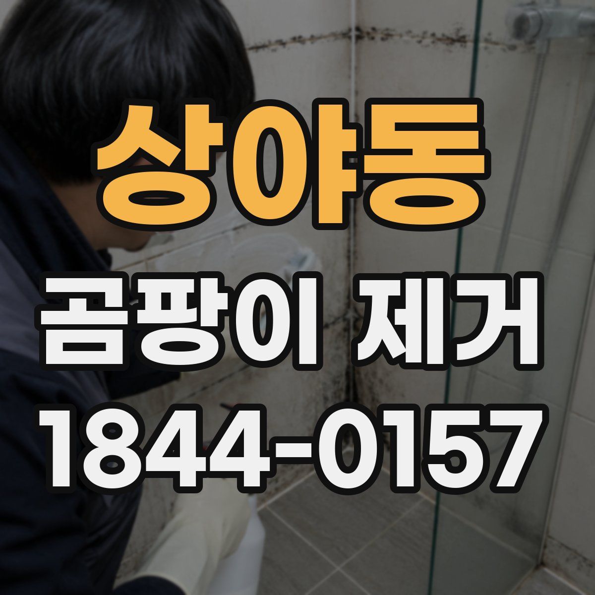 상야동 곰팡이 제거