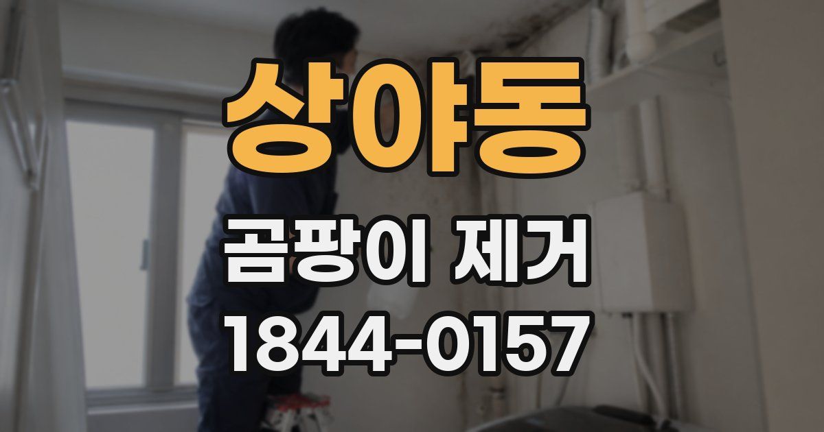 상야동 곰팡이 제거