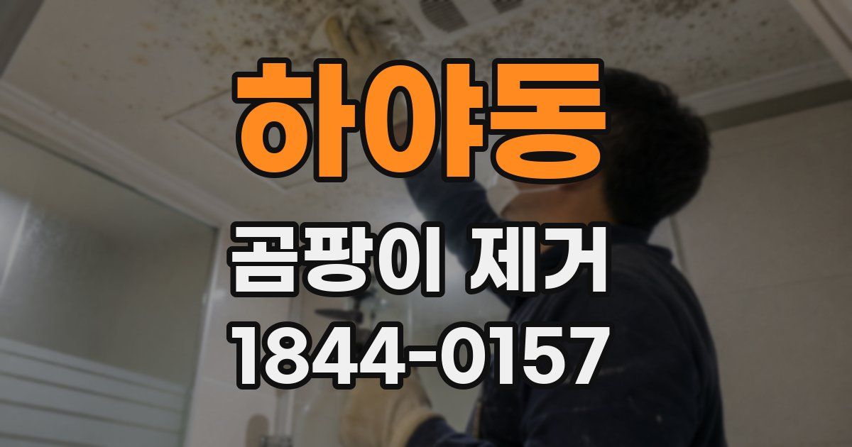 하야동 곰팡이 제거