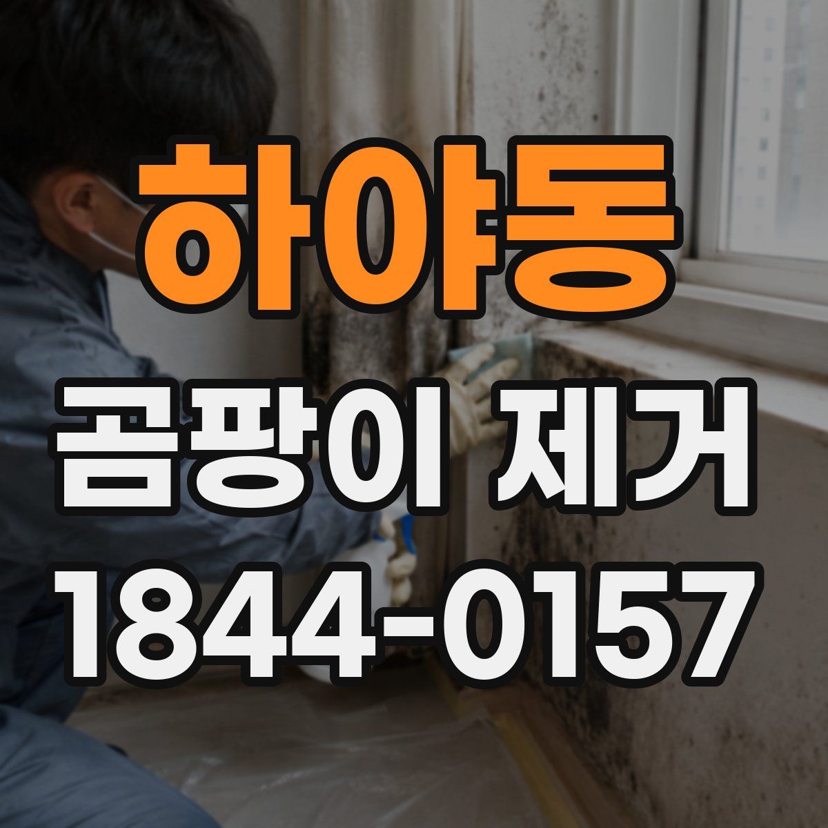 하야동 곰팡이 제거