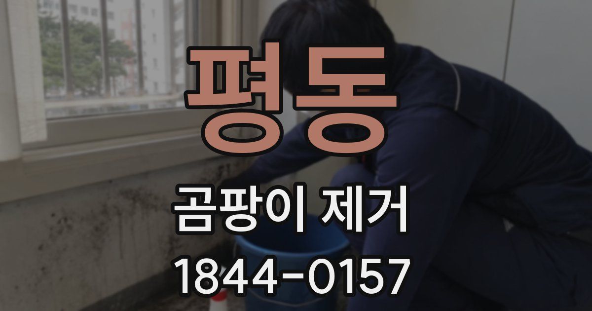 평동 곰팡이 제거