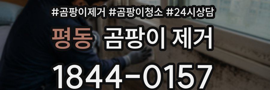 평동 곰팡이 제거