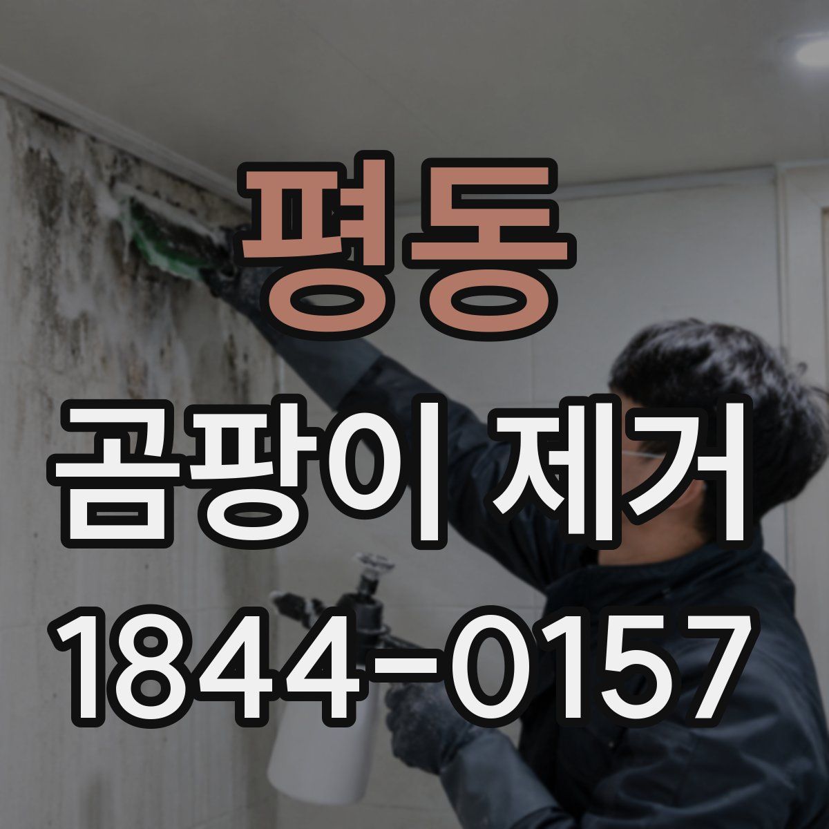 평동 곰팡이 제거