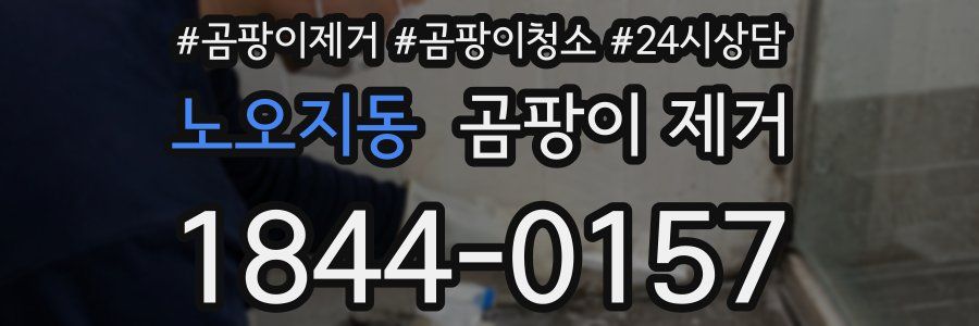 노오지동 곰팡이 제거