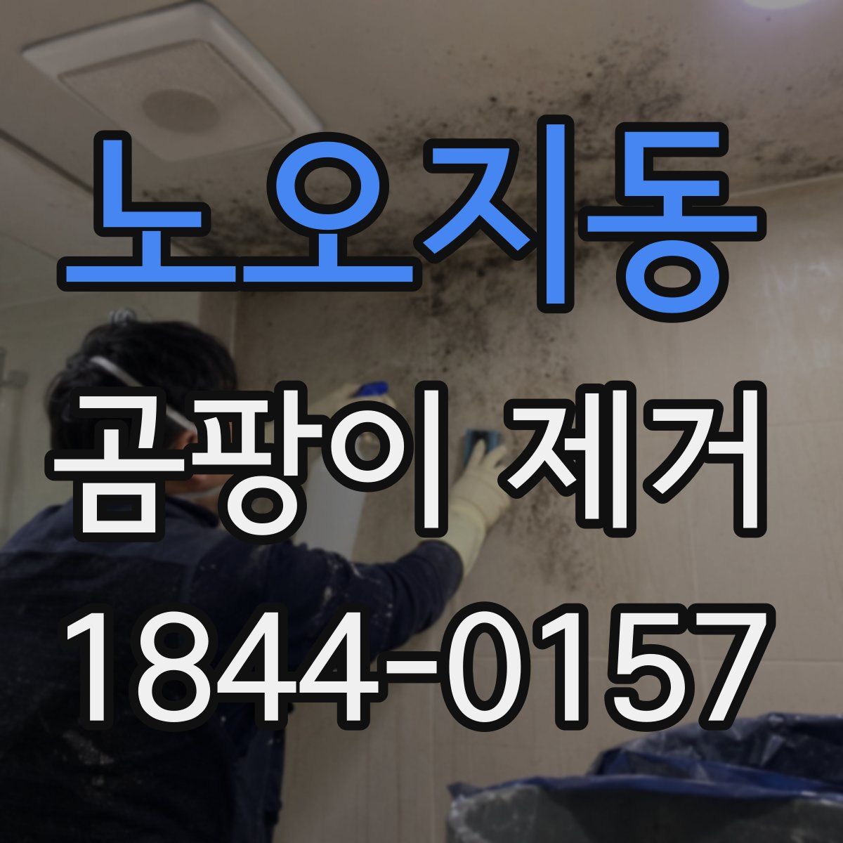 노오지동 곰팡이 제거