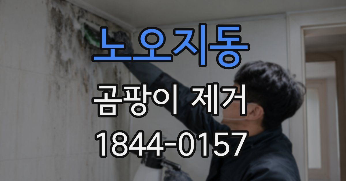노오지동 곰팡이 제거