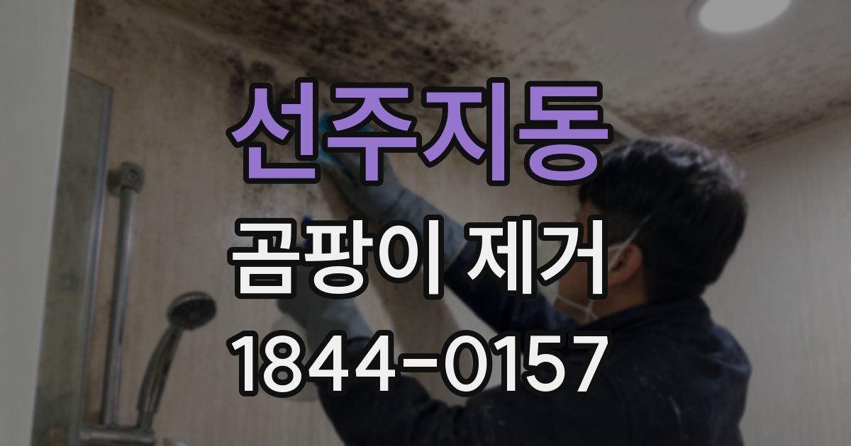 선주지동 곰팡이 제거
