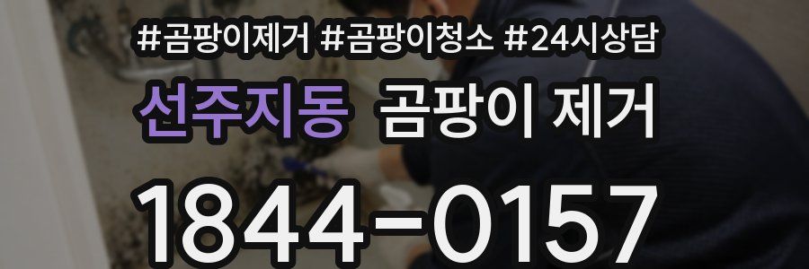 선주지동 곰팡이 제거