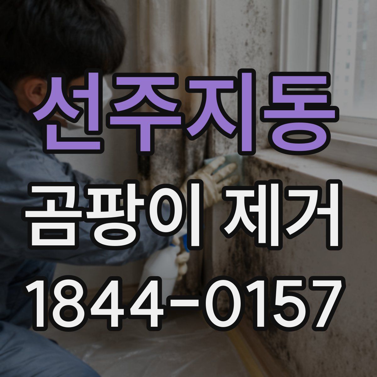 선주지동 곰팡이 제거